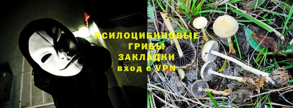 мдпв Покров