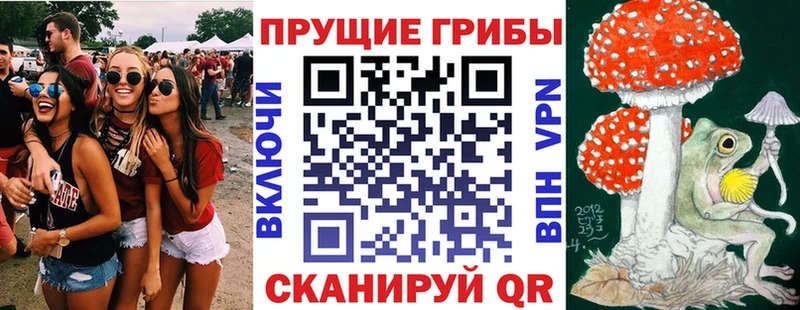 дарнет шоп Эртиль Галлюциногенные грибы ЛСД